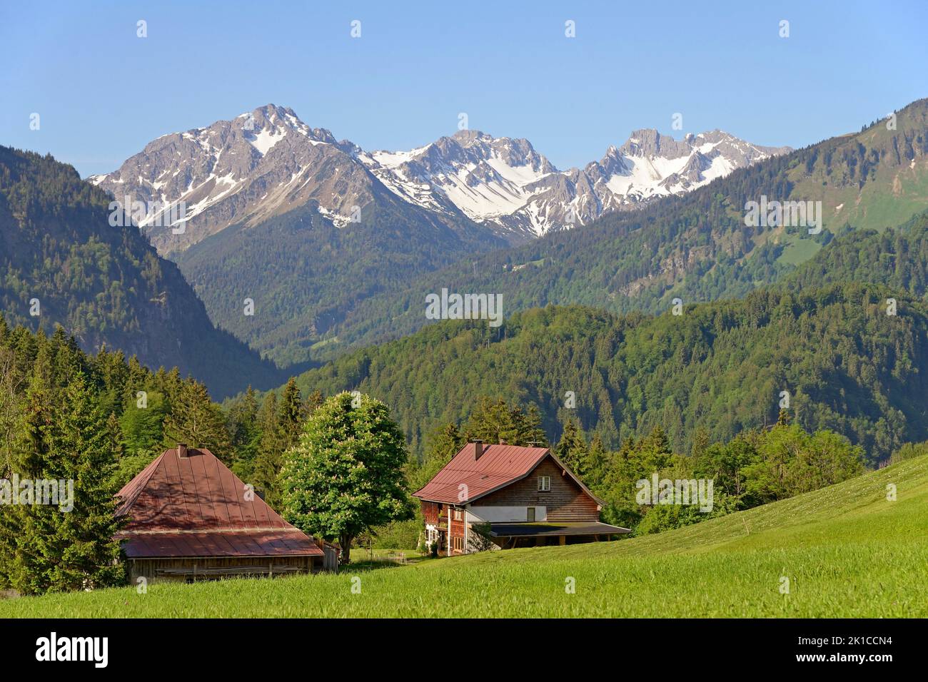 View of an idyllically situated mountain farm and the mountains in Stillachtal, Allgaeu Alps, Allgaeu, Bavaria, Germany Stock Photo