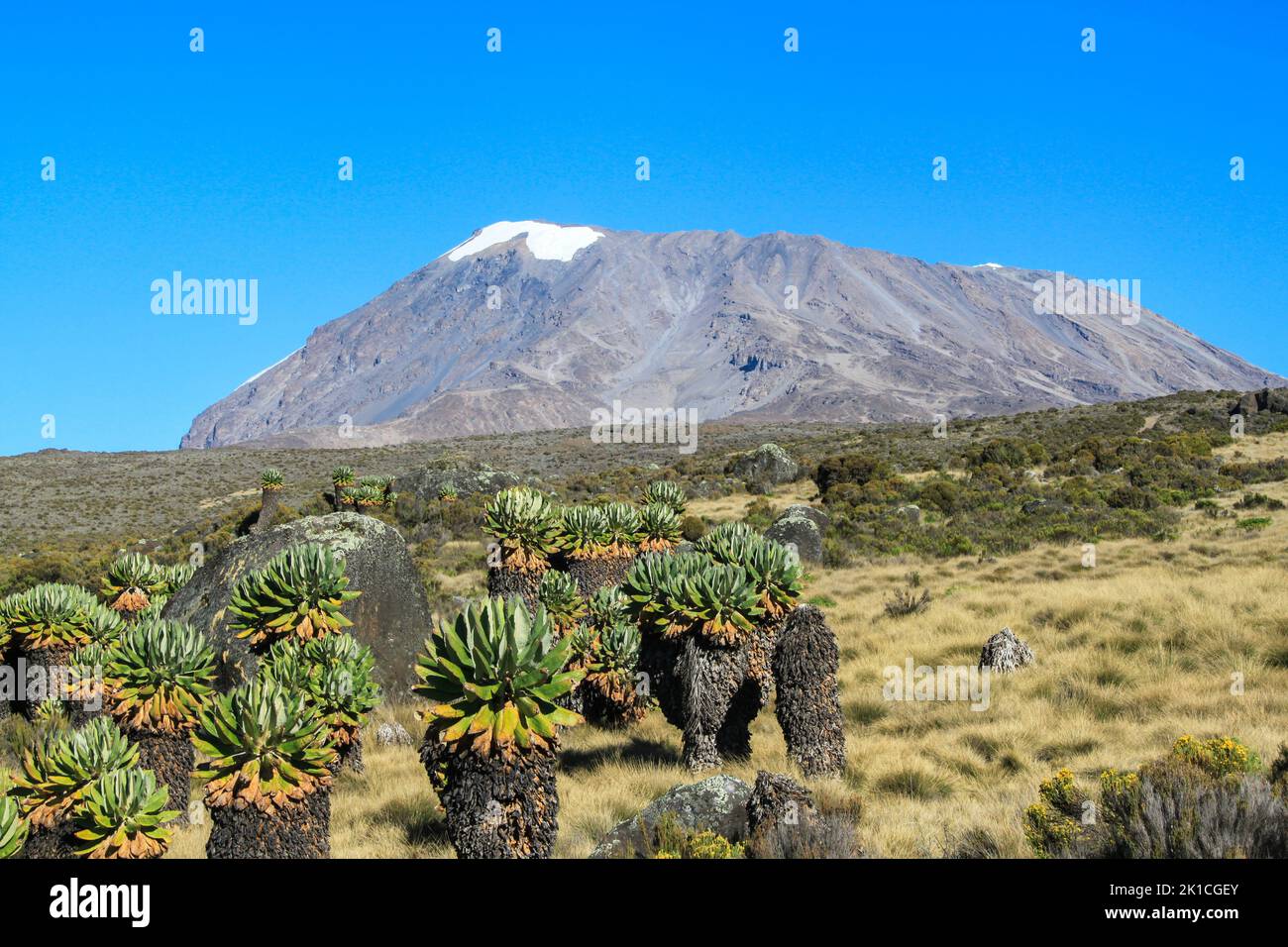 Mount Kilimanjaro, highest mountain on the Afrikan continent, 5895 meters above sea level. Stock Photo
