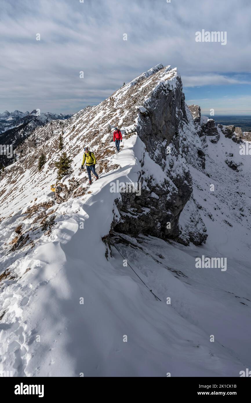 Two mountaineers on a narrow snowy rocky ridge, Fensterl on the hiking trail to Ammergauer Hochplatte, in autumn, Ammergau Alps, Bavaria, Germany Stock Photo