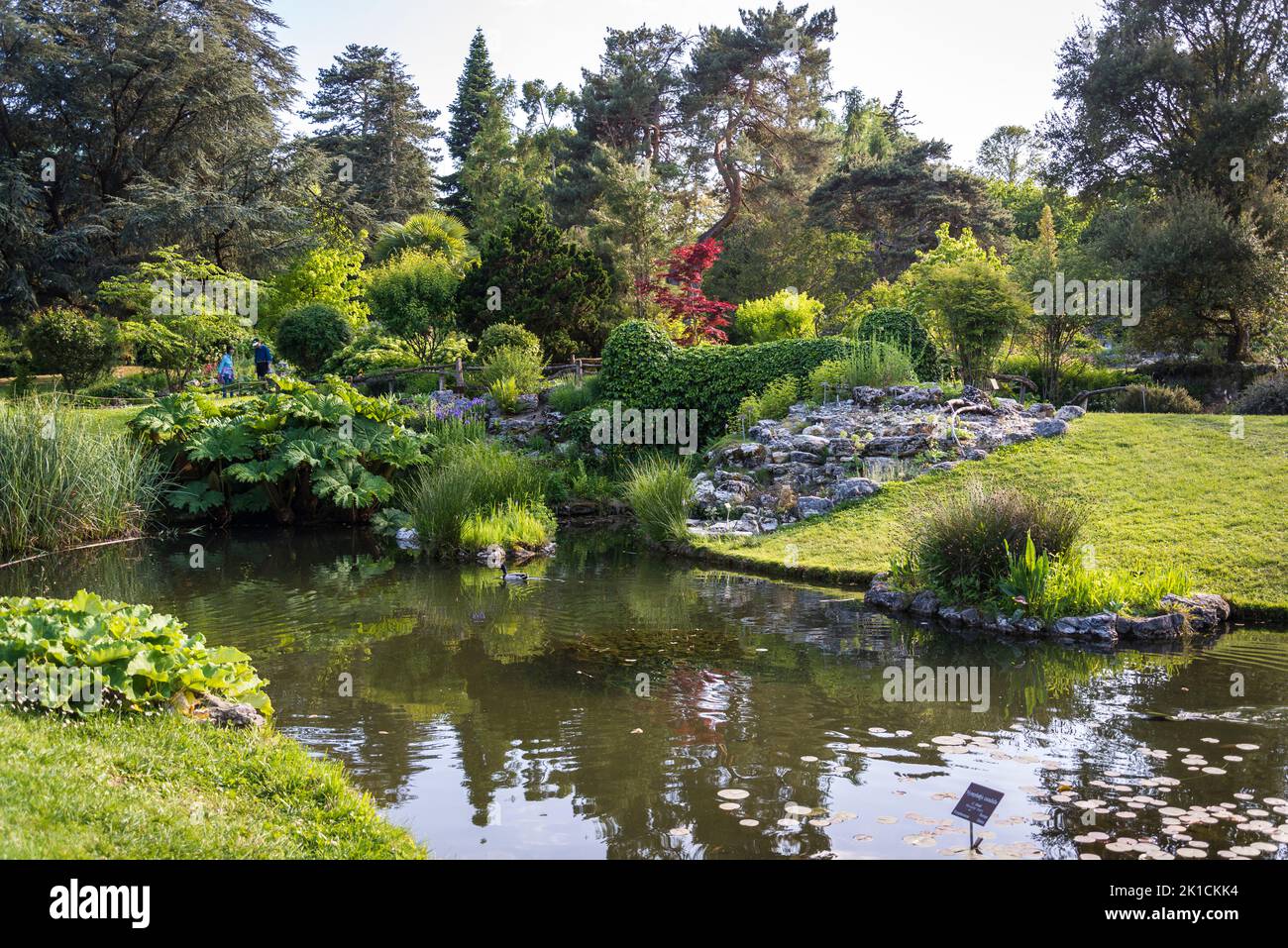 Landscaped garden with pond, Botanical Garden, Geneva, Switzerland Stock Photo