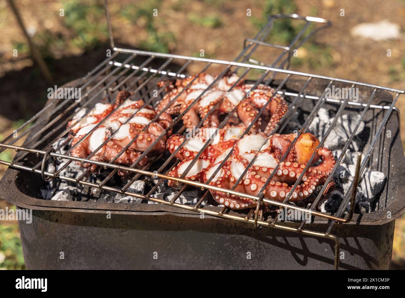 Fresh octopuses on the charcoal grill, Italy. Traditional Mediterranean cuisine. Grilling seafood outdoor with friends during summer time. Rustic styl Stock Photo