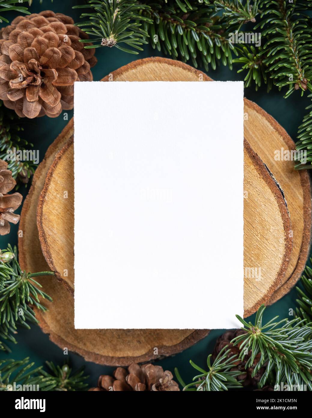 Vertical blank card between fir branches and pine cones on green top ...