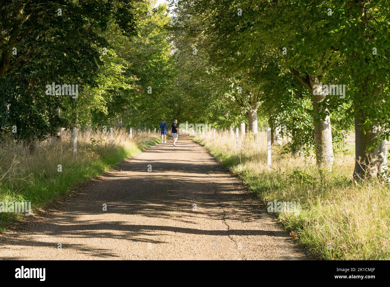 September Path September foot path uk hi-res stock photography and images - Alamy