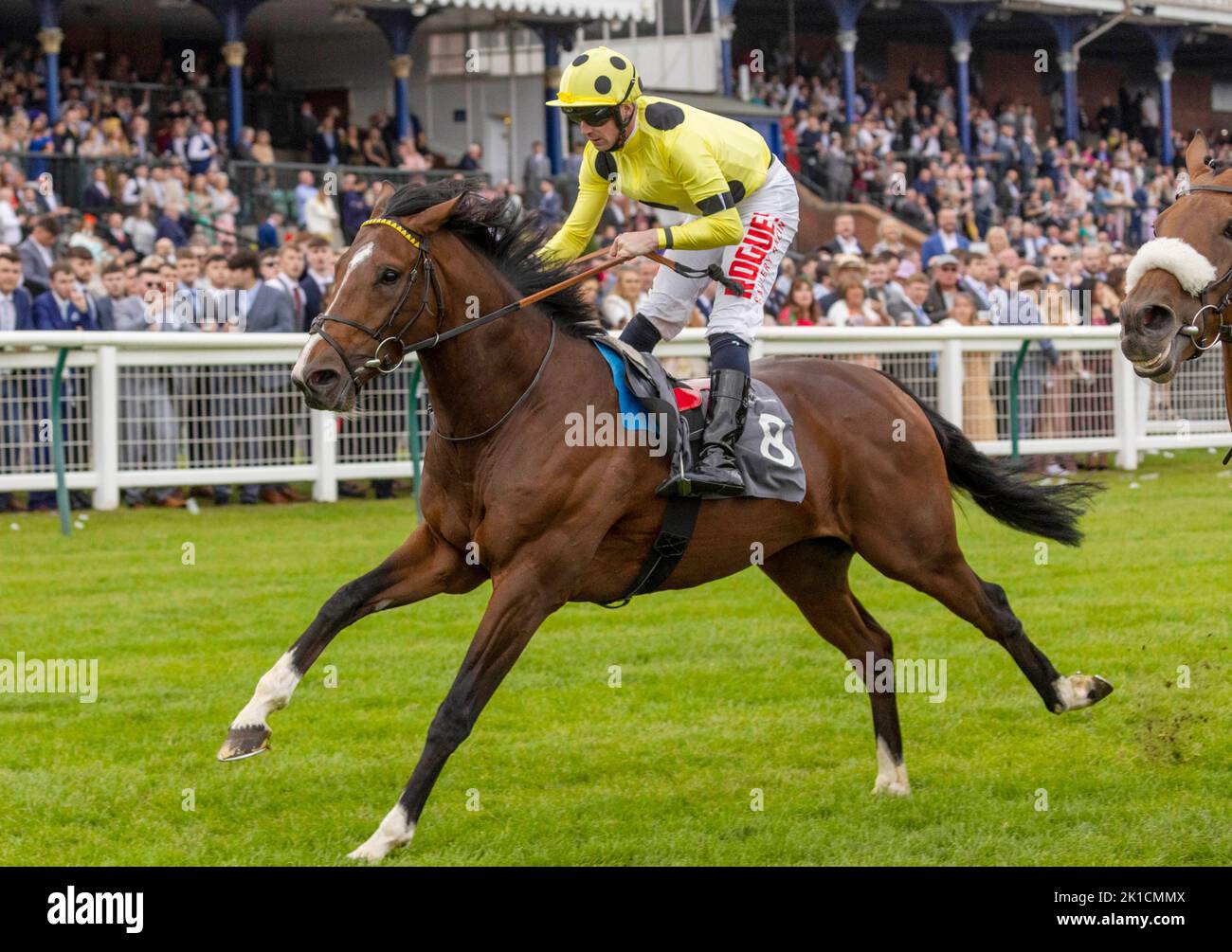 Aimeric ridden by jockey Jack Mitchell wins the Jordan Electrics Ltd Handicap during the Virgin Bet Ayr Gold Cup day at Ayr Racecourse, Ayr. Picture date: Saturday September 17, 2022. Stock Photo