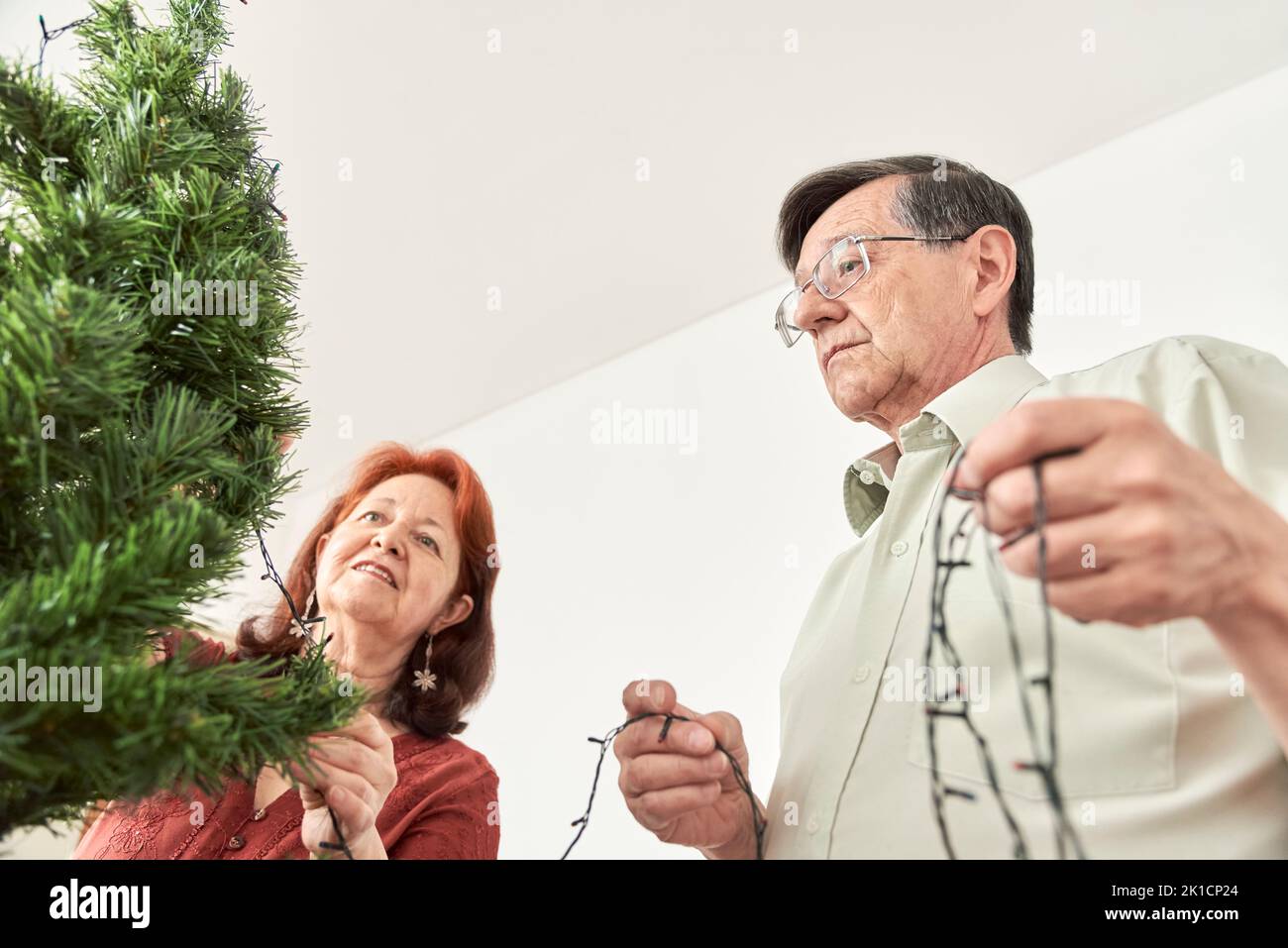 Hispanic senior couple starting the process of decorating a Christmas tree, putting a string of led lights on it. Low angle view composition with copy Stock Photo