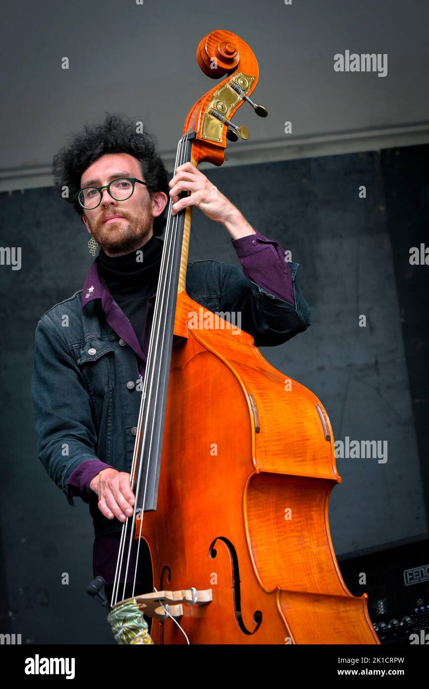 string bass player