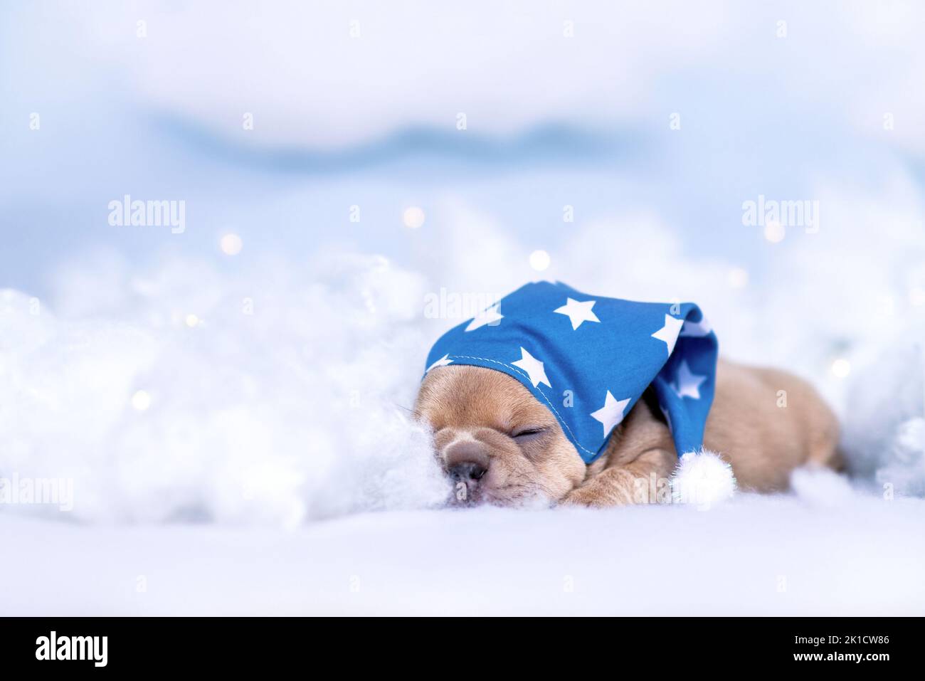 Sleepy French Bulldog puppy with nightcap lying between fluffy clouds and stars Stock Photo