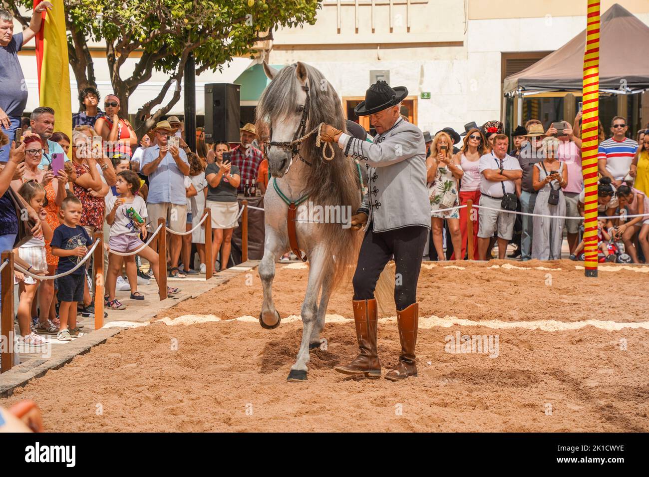 Man performing Spanish dressage horse riding show, during annual Horse day. Fuengirola, Andalusia, Costa del Sol, Spain. Stock Photo