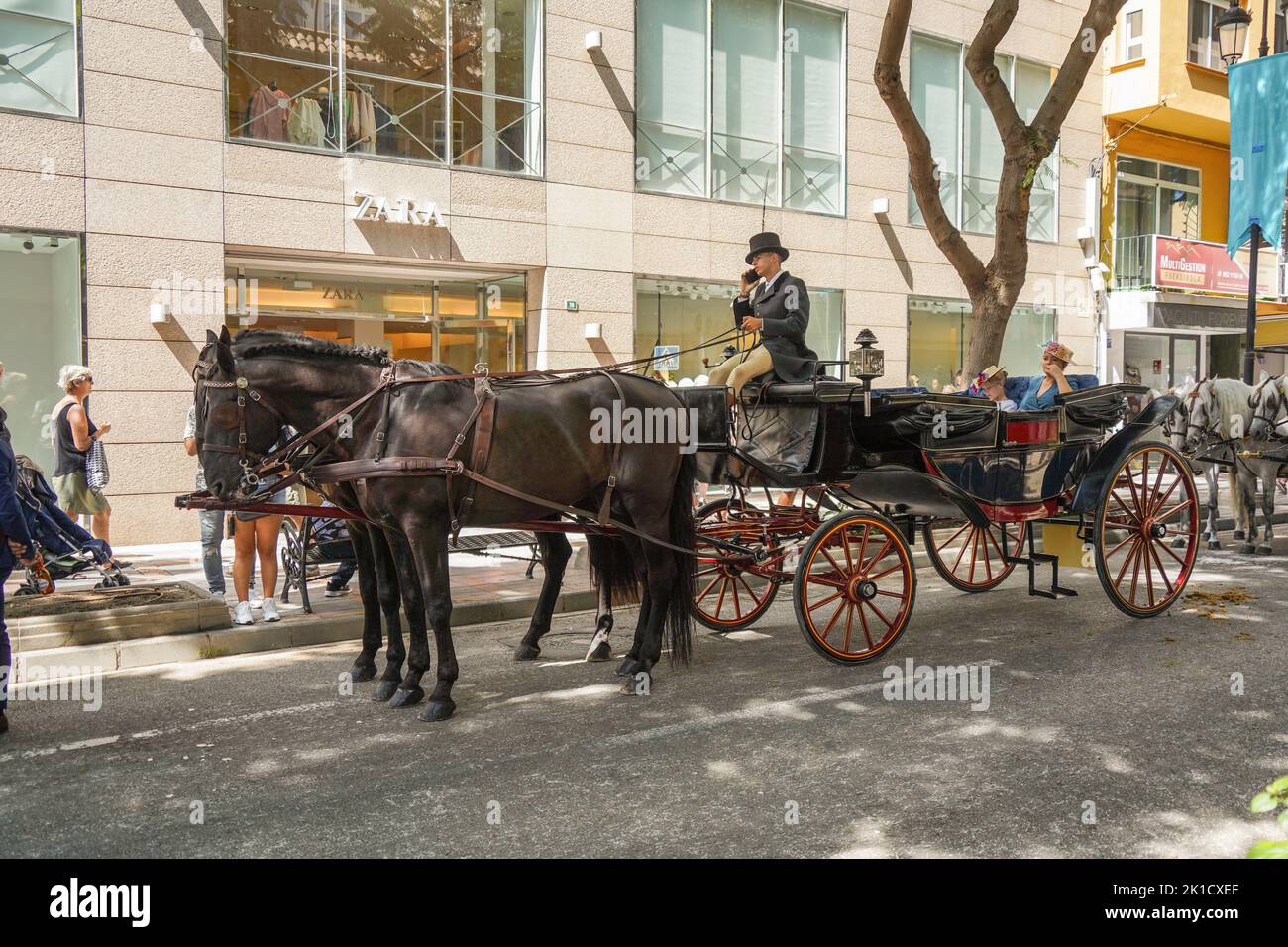 Traditional decorated horse carriage, during annual Horse day