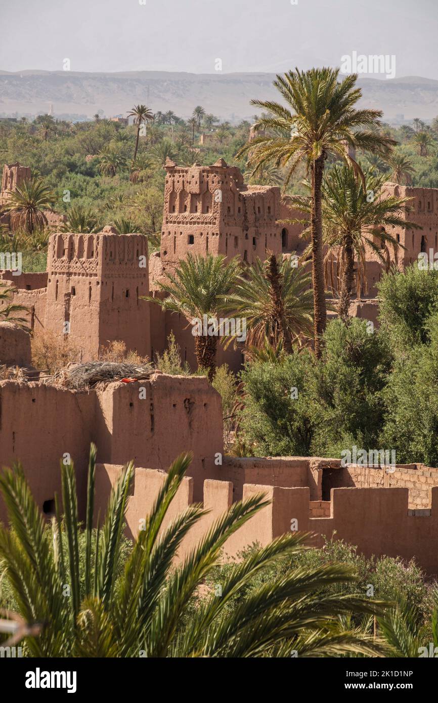 Kasba Amridil, view of the palm grove, Skoura, Ouarzazate Province