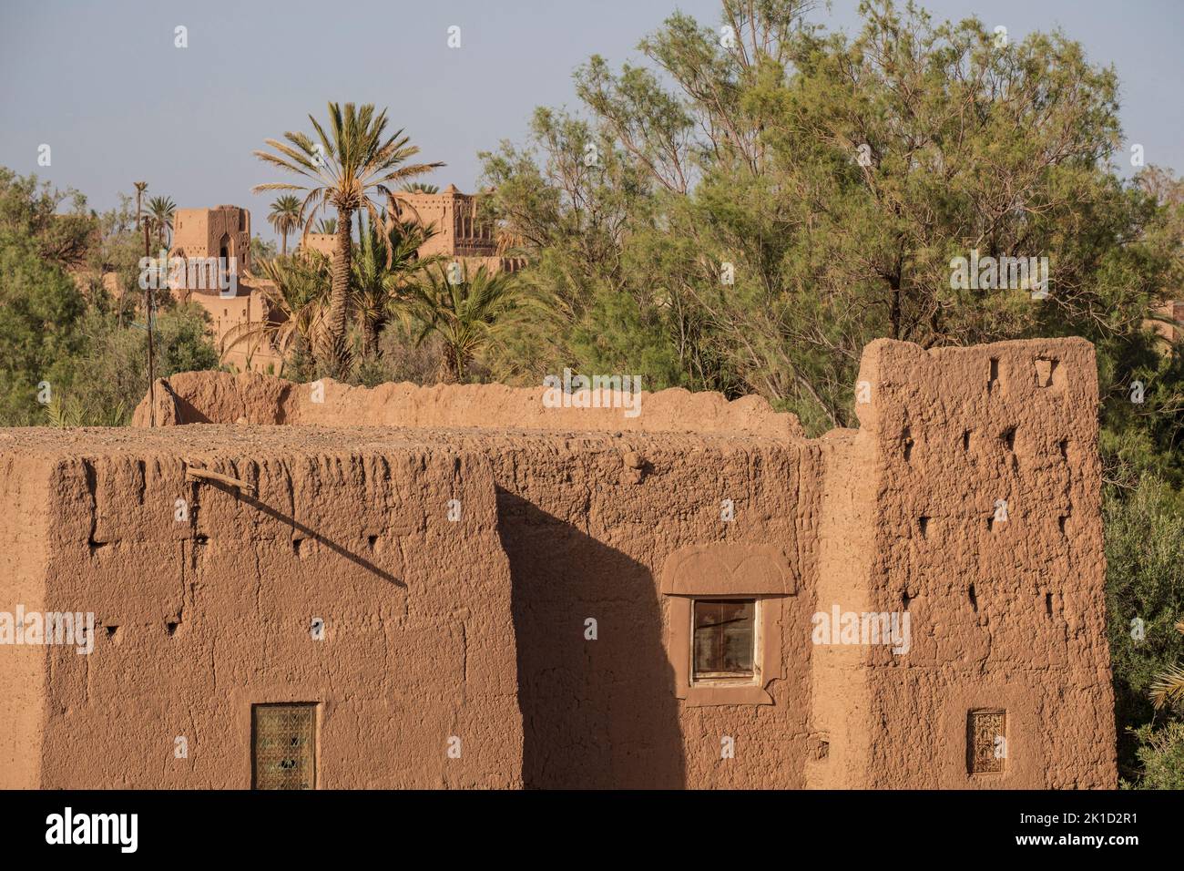 Kasba Amridil, view of the palm grove, Skoura, Ouarzazate Province