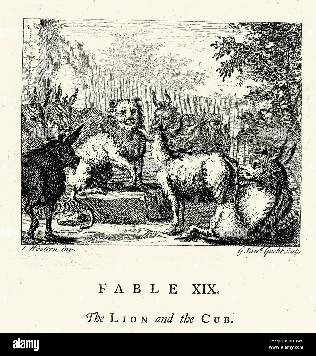 Vintage engraving The Lion and the Cub, From the Fables of John Gay 18th Century Stock Photo