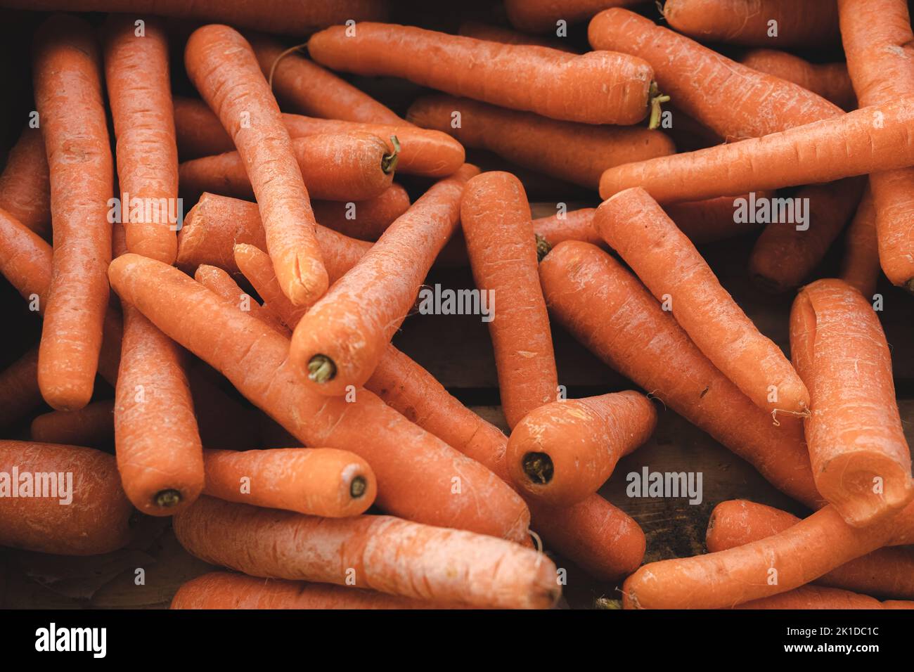 Fresh, organic, carrots on display at an outdoor rural country farmer's market in Scotland, UK. Stock Photo