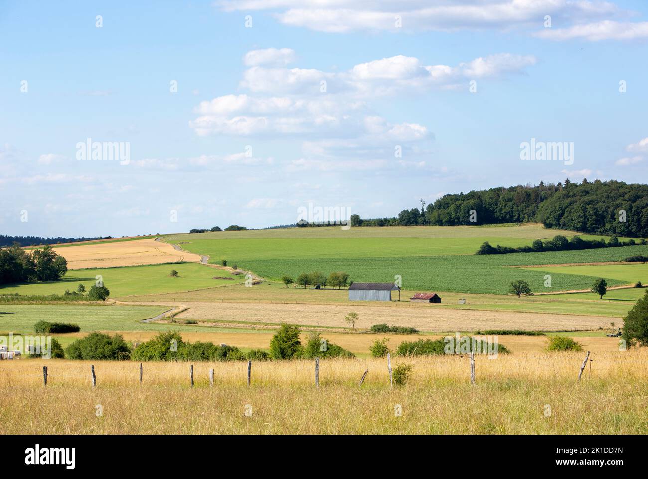 fields and forests in countryside landscape of belgian province namur Stock Photo