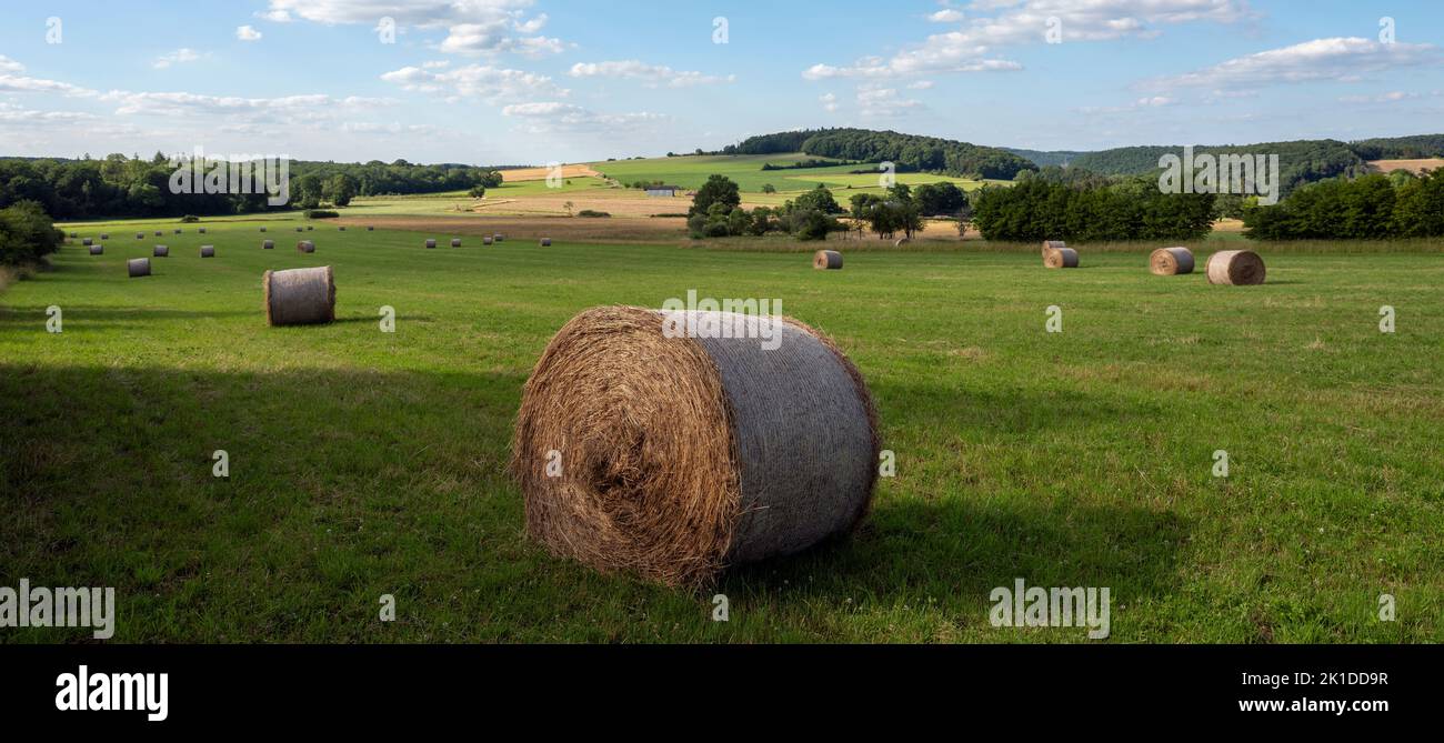 countryside landscape of belgian ardennes region near han sur lesse and rochefort with hay bales under blue sky Stock Photo