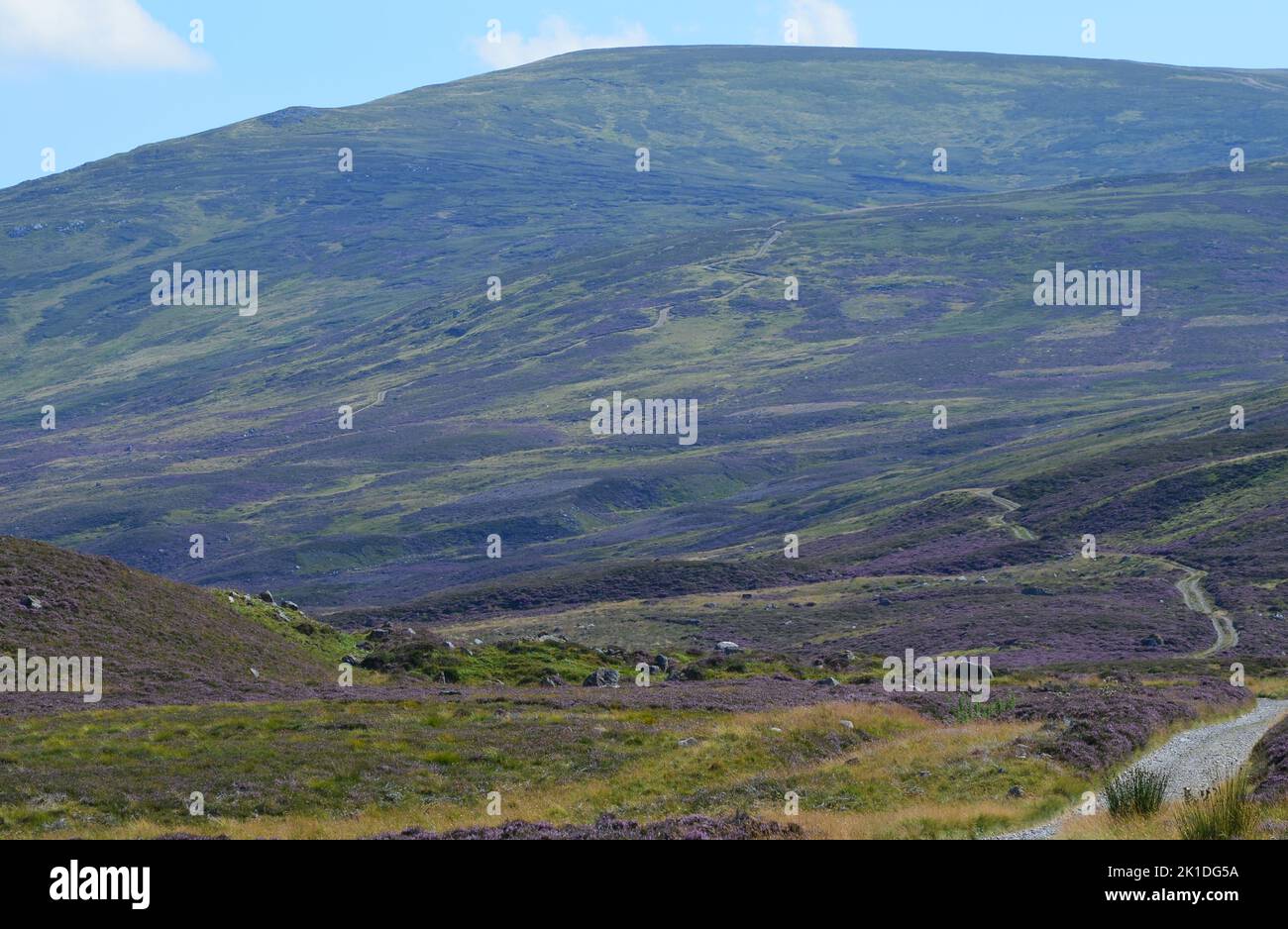 Glen Callater, a Site of Special Scientific Interest within The Cairngorms national park, Scotland Stock Photo