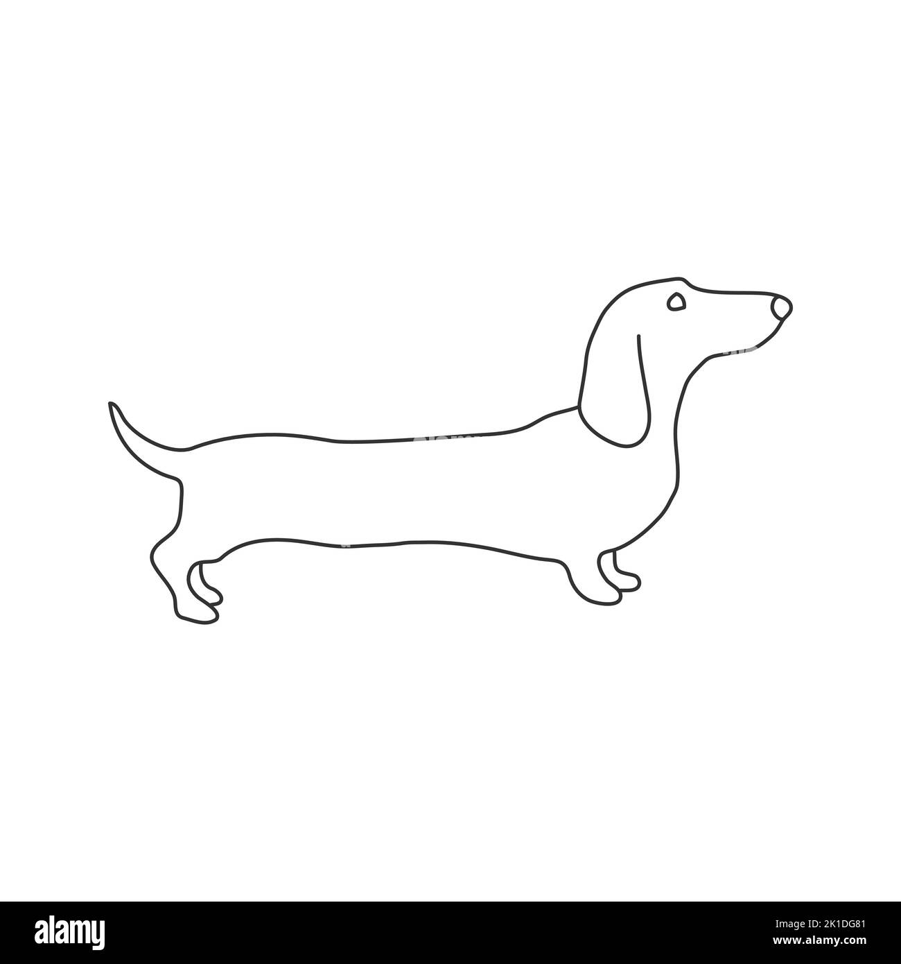 Dachshund dog icon simple vector. Purebred dog  Stock Vector