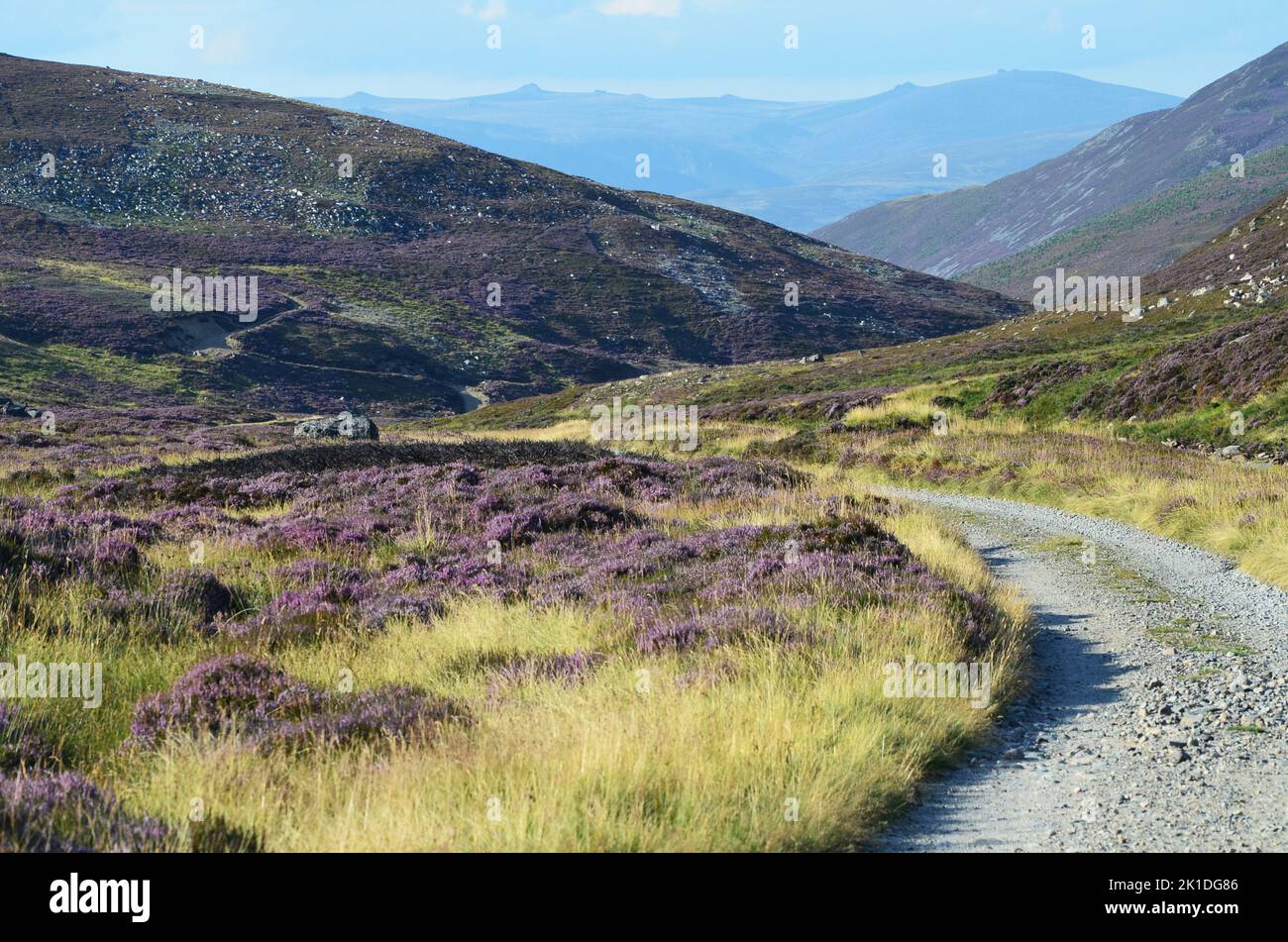 Glen Callater, a Site of Special Scientific Interest within The Cairngorms national park, Scotland Stock Photo