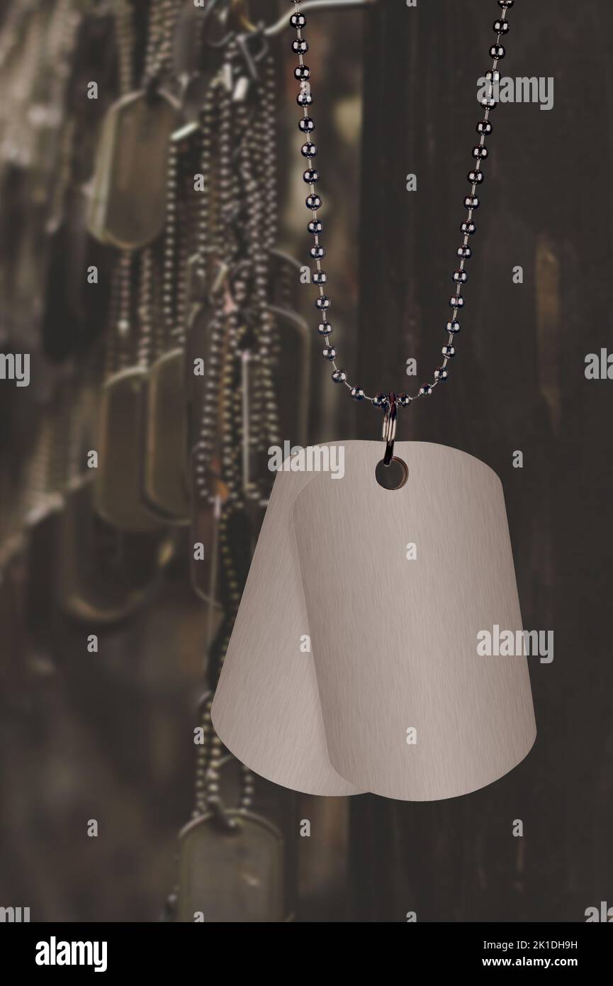 A blank set of dog tags hanging against a a collection of fallen soldier tags. Main tag is blank for placement of copy. Stock Photo