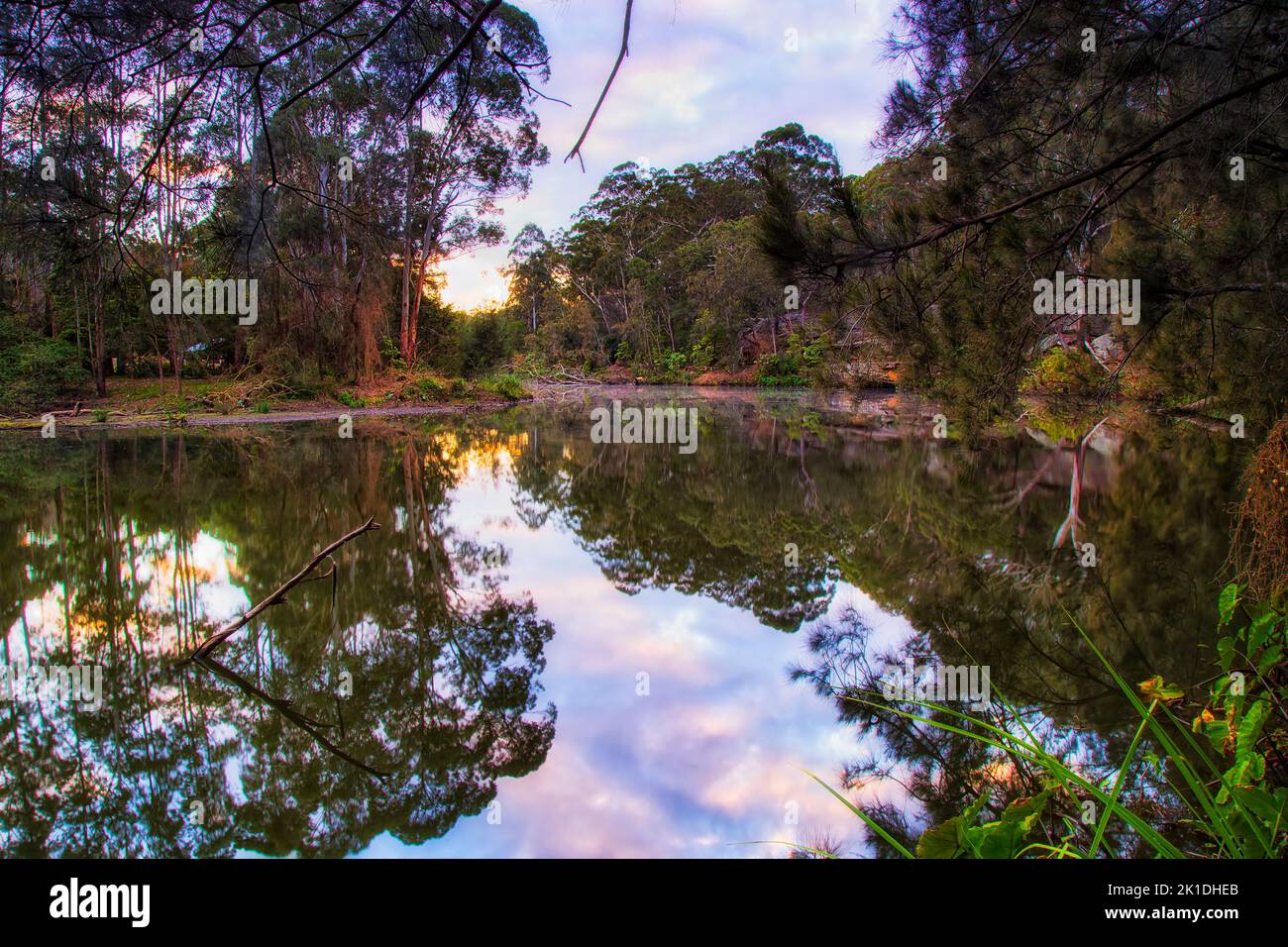 Slow lazy Lane Cove river in National park of Sydney city of Australia- sunrise landscape. Stock Photo