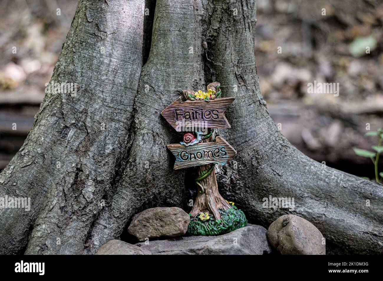 Directional arrows that say fairies and gnomes on a fairy trail bottom