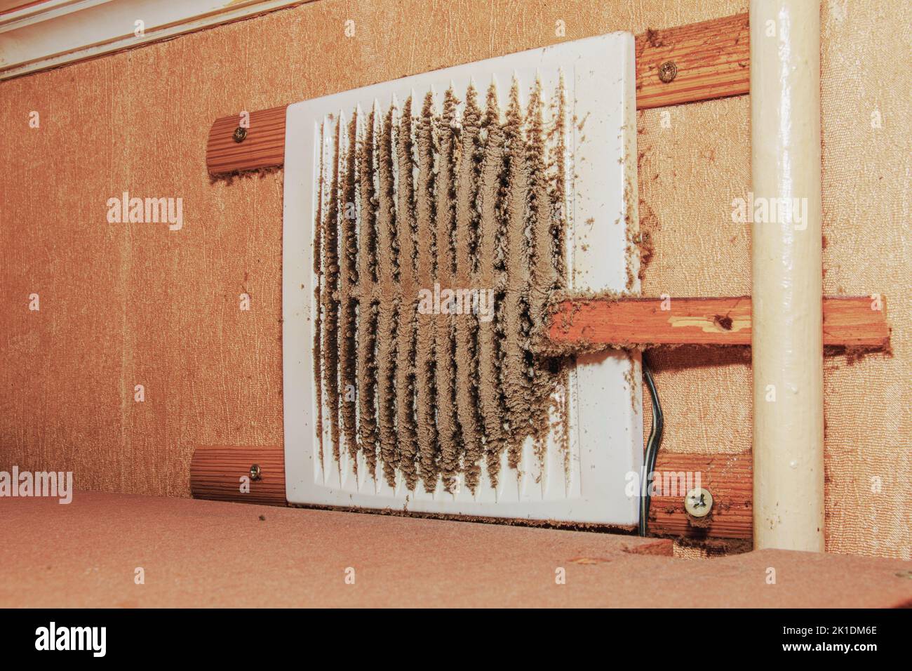 Closeup of a very dirty kitchen exhaust fan. Fan before preventive