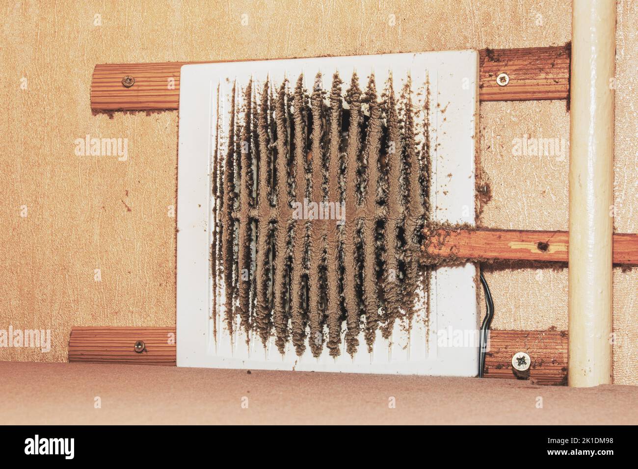 Closeup of a very dirty kitchen exhaust fan. Fan before preventive