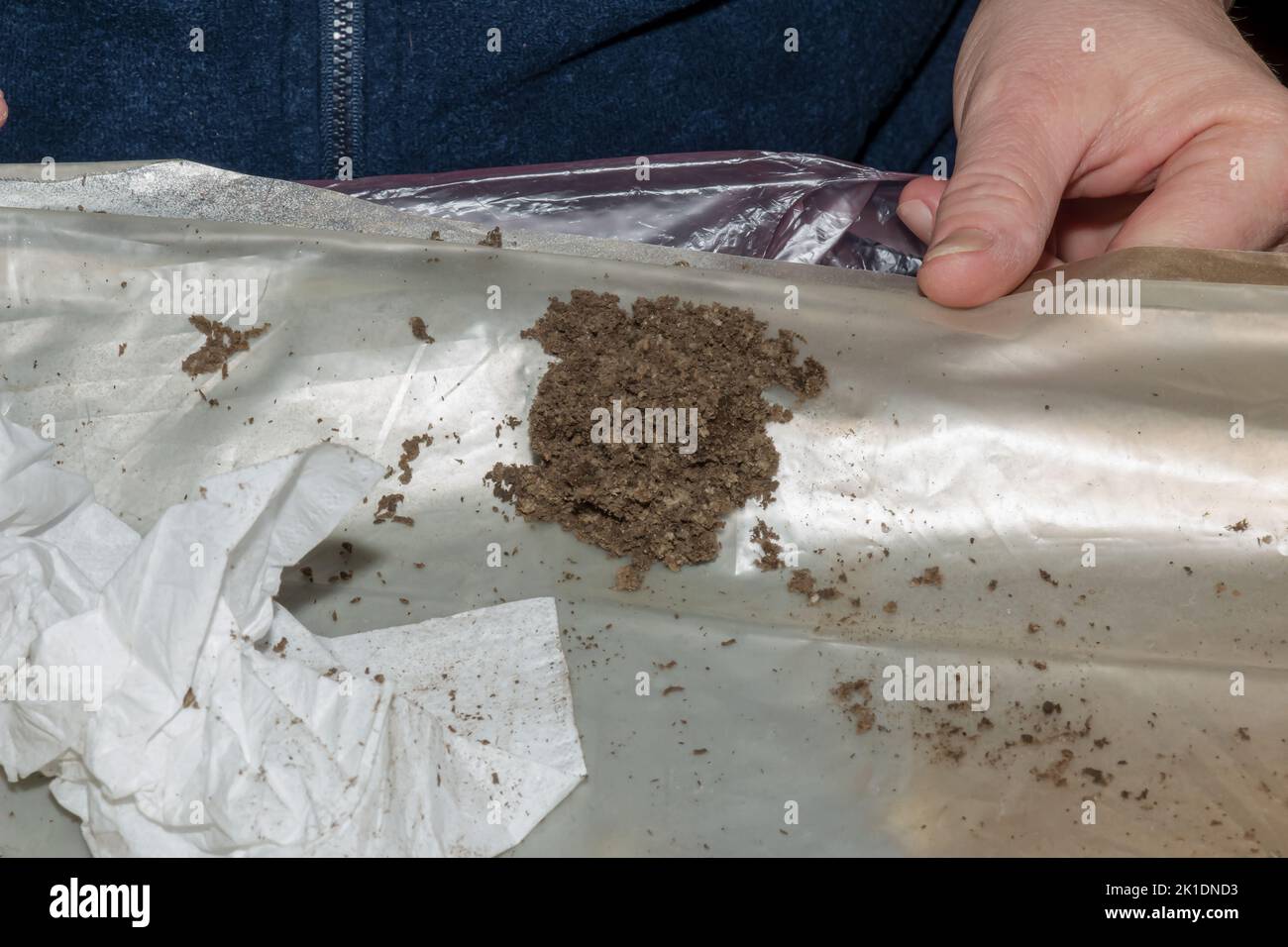 Dry dirt and dust cleaned from a kitchen exhaust fan. Closeup. Air