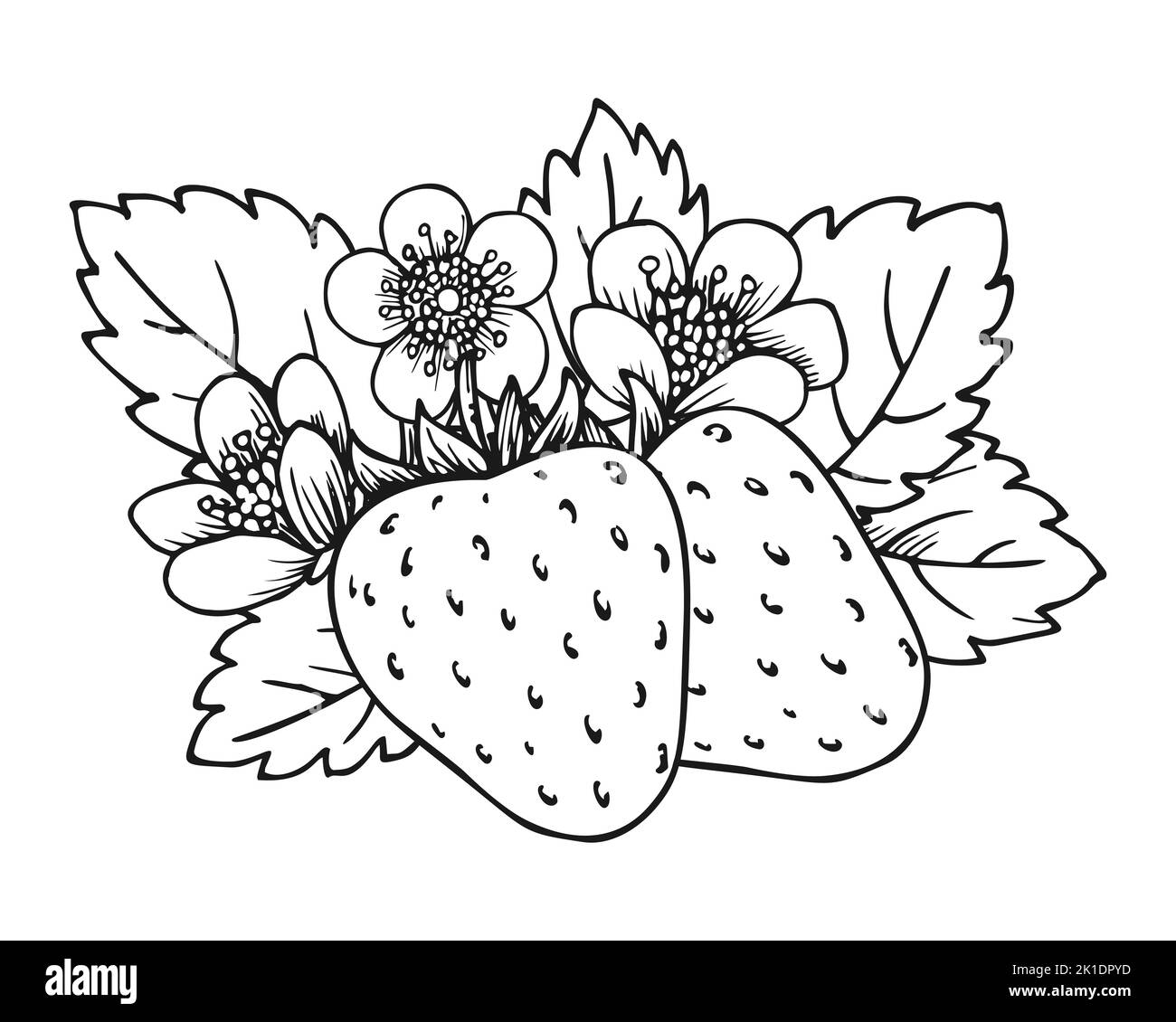 Strawberry bunch of two berries. Coloring book page. Whole ripe wild forest berry with leaves and blossom flowers. Tasty sweet fresh fruit. Juicy strawberries handdrawn clip art black white sketch Stock Vector