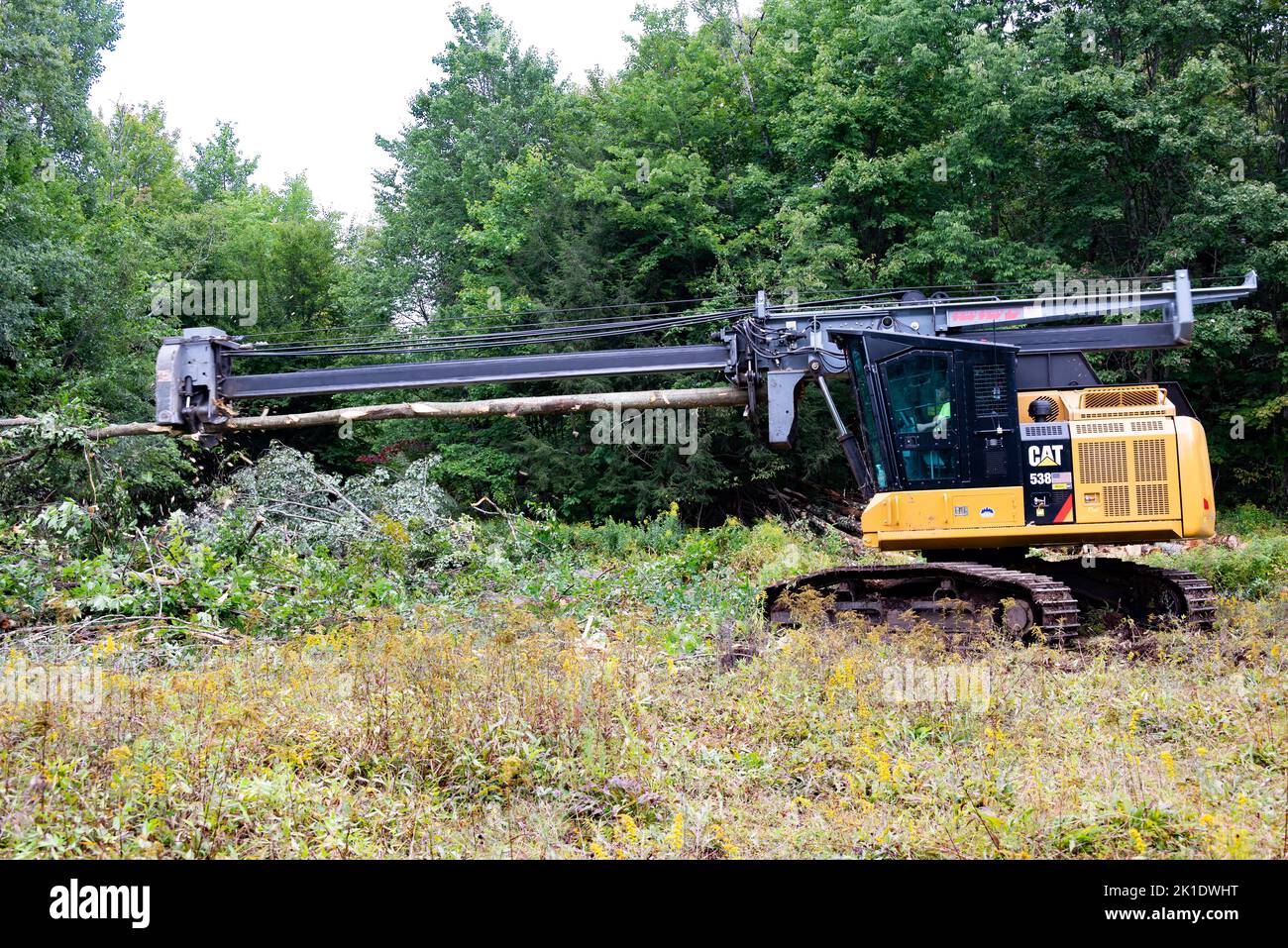 A tree or log delimber at a logging job site in the Adirondack Mountains, NY Stock Photo