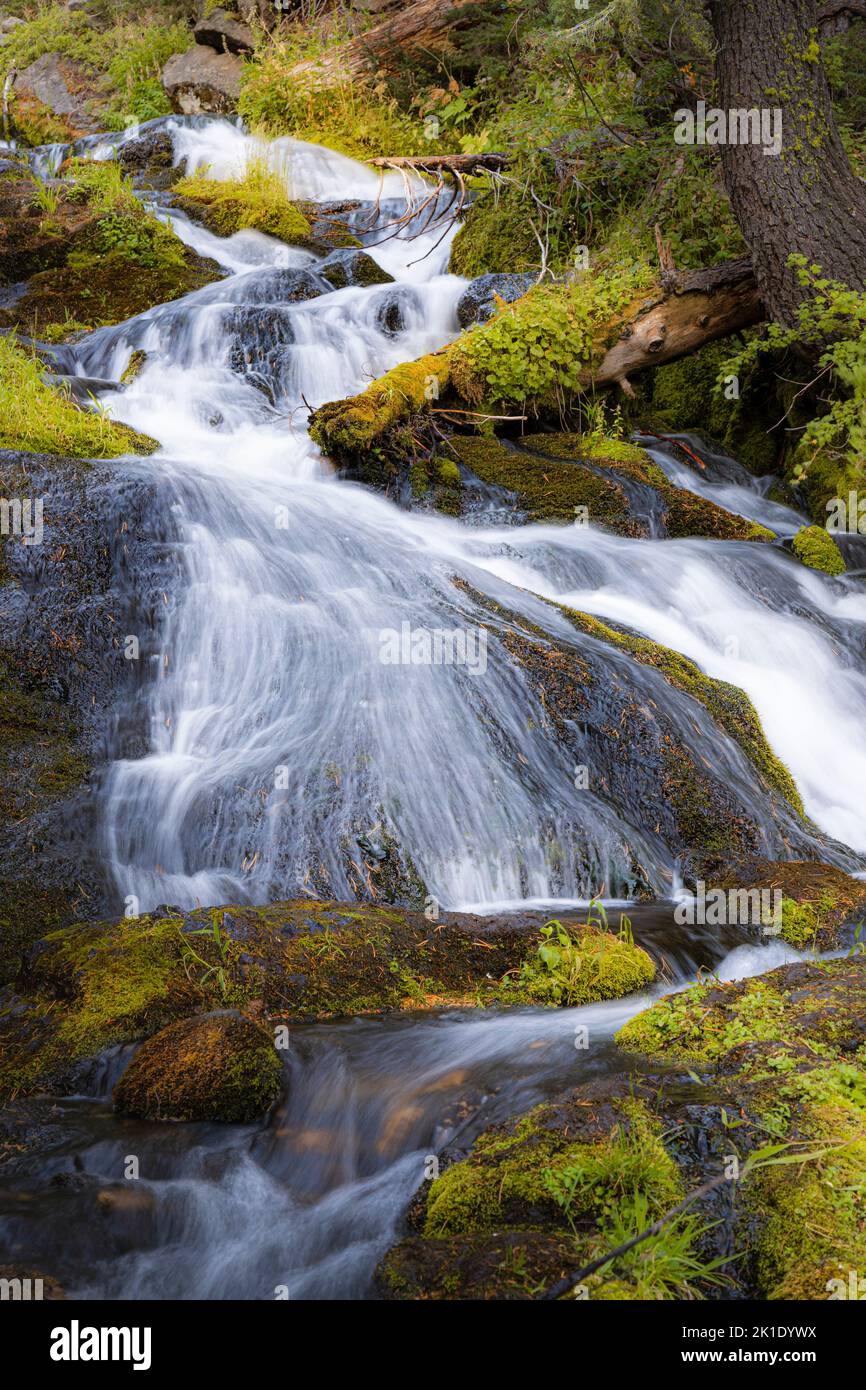While on an early morning hike in Lassen Volcanic National Park, I stopped to take a breather at this beautiful little cascade known as Lower Hat Cree Stock Photo