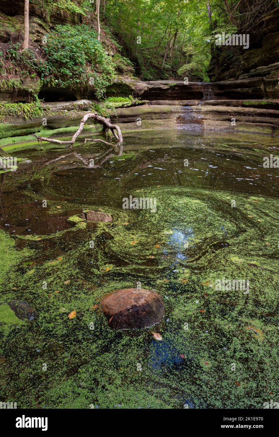A feature in a canyon at Matthiessen State Park is called Giant's
