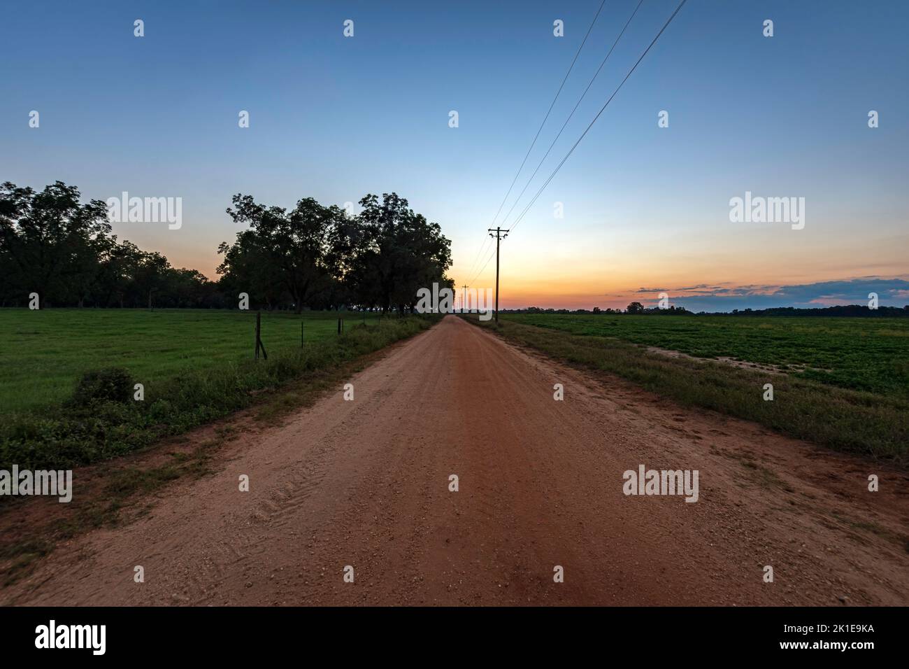 Empty red dirt road leading into the sunset with pasture on one side and peanut field on the other. Stock Photo