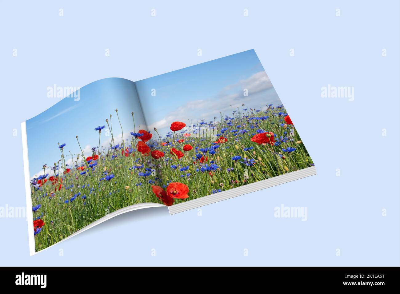 Open book with wildflower meadow Stock Photo