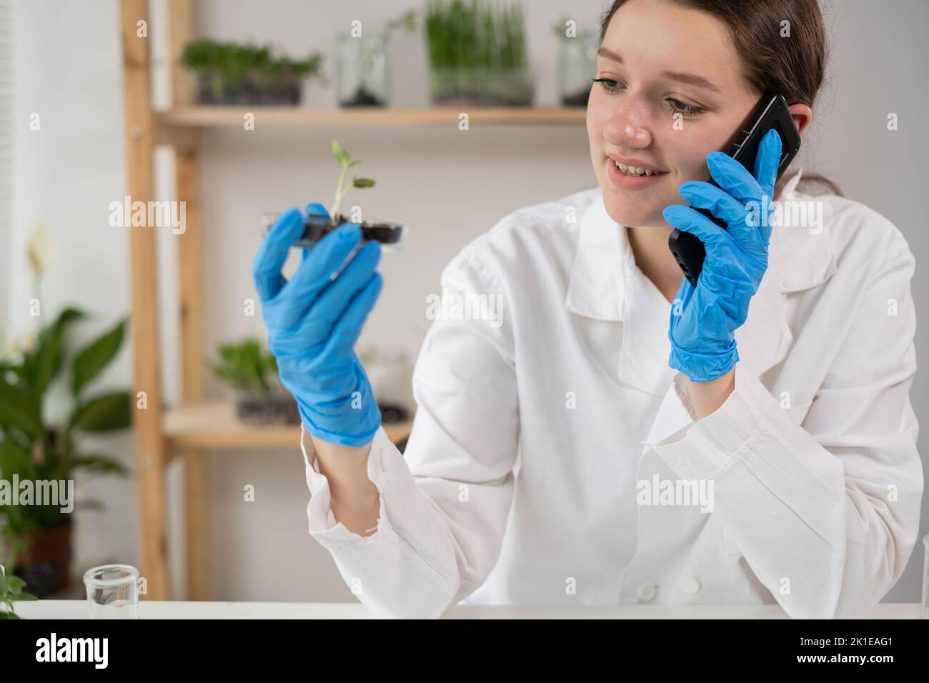Young attractive woman scientist with protective gloves using smartphone in the scientific biochemical laboratory analyze young plant. GMO concept Stock Photo