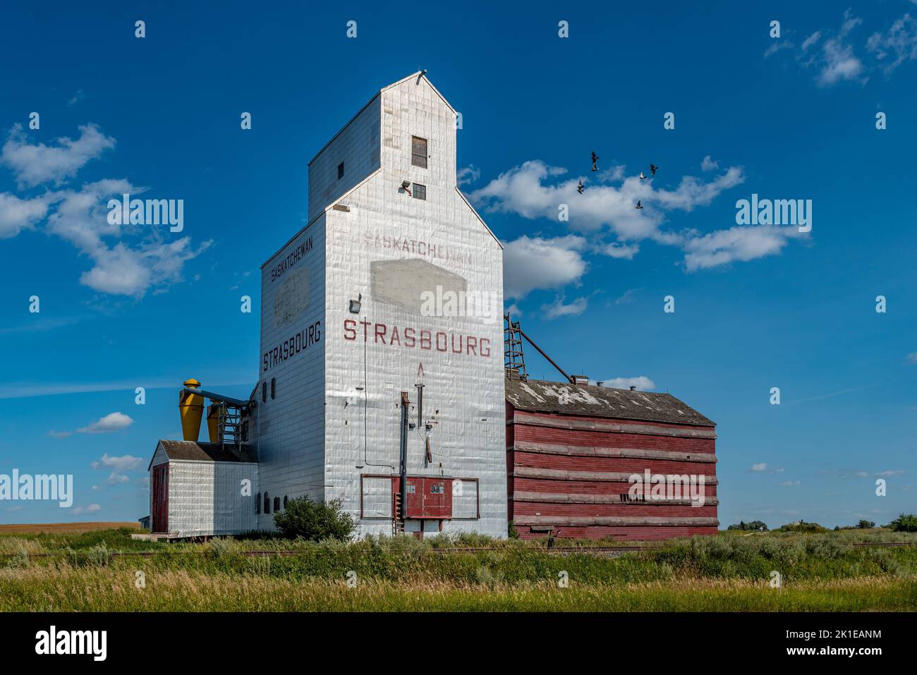 The historic old grain elevator in Strasbourg, SK Stock Photo Alamy