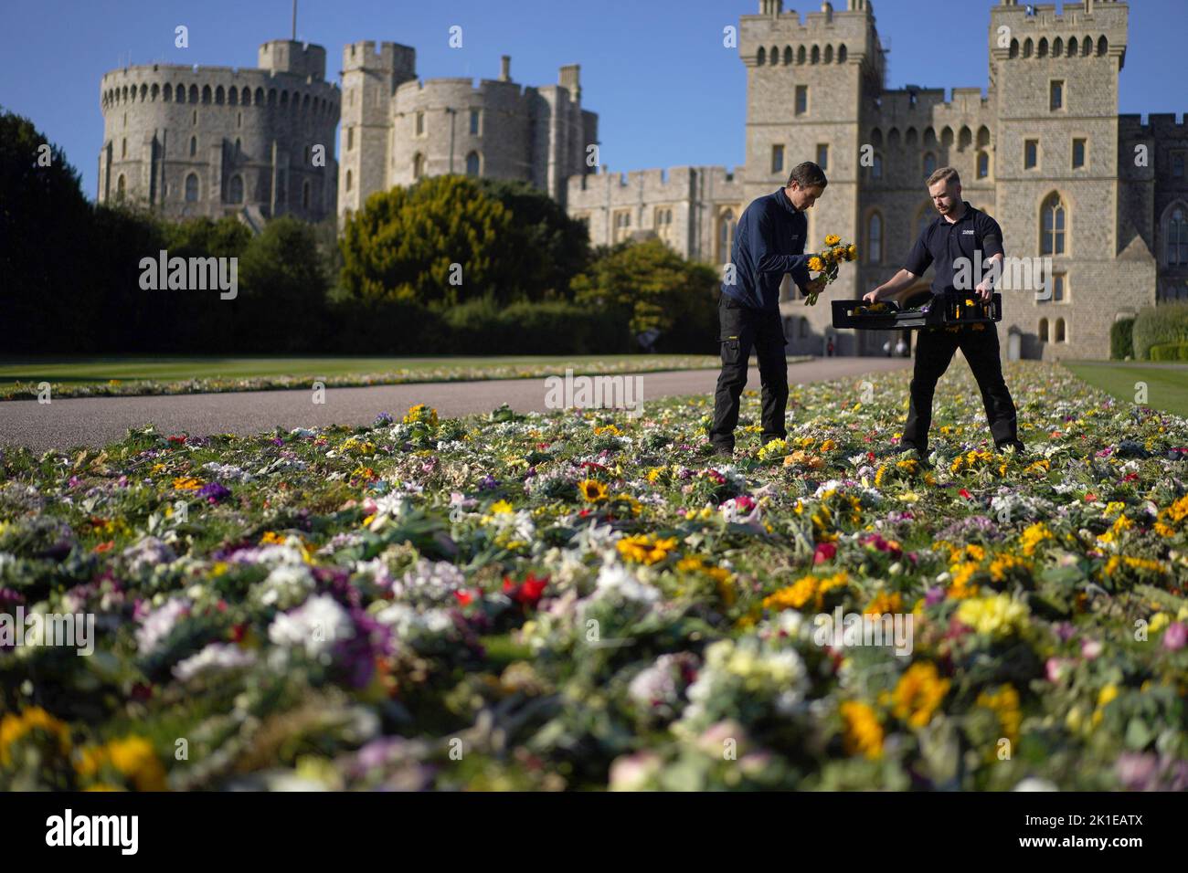 Workers from the Crown Estate move the floral tributes laid by members of the public outside Windsor Castle onto Cambridge Drive, near the Long Walk, Windsor, ahead of the funeral of Queen Elizabeth II on Monday. Picture date: Saturday September 17, 2022. Stock Photo
