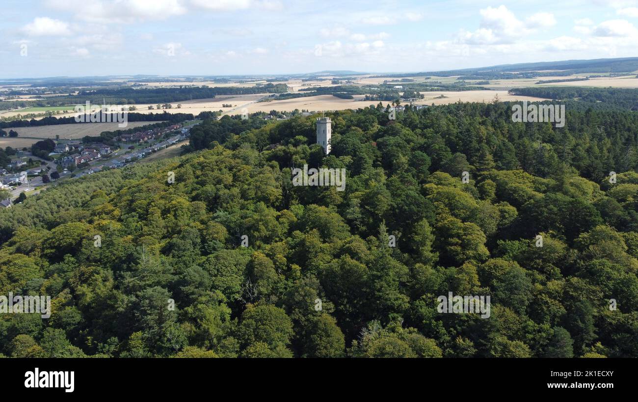 A drone view of green forest and hills during a sunny day Stock Photo ...