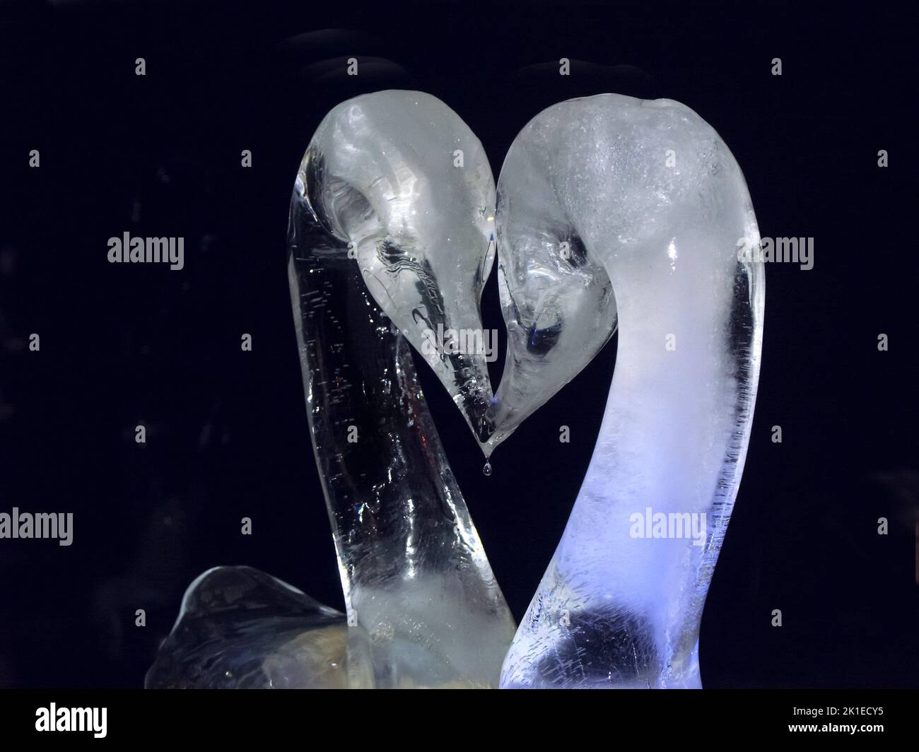 Ice sculpture of 2 Swans Stock Photo