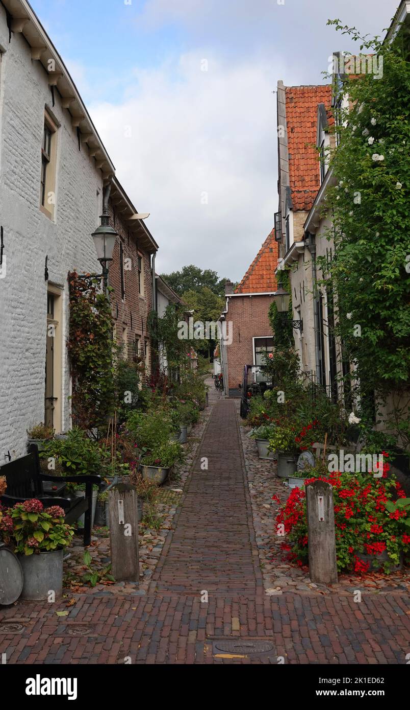 Alley near to the fortified wall with small, old houses with flower pots in front in the center of Elburg in the Netherlands. Stock Photo