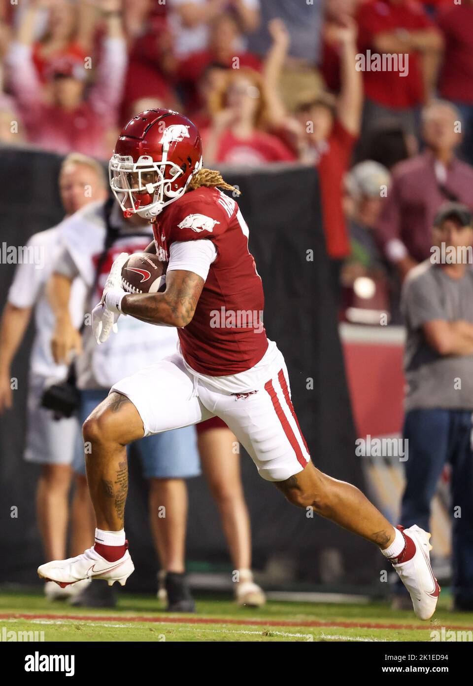 Defeated Razorback September 17, 2022: Razorback receiver Jadon Haselwood #9 brings the ...