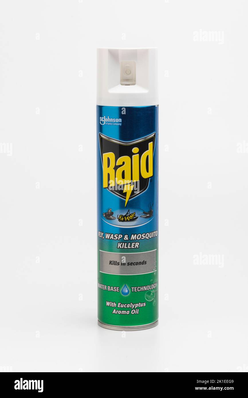 400ml Raid Insect Spray Fast Effect Long Lasting Protection Flies