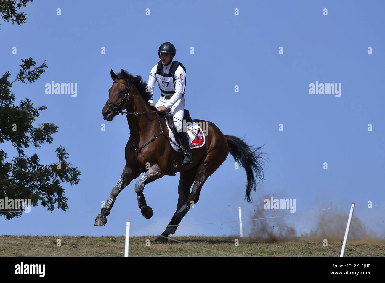 Robin Godel (SUI) riding Grandeur de Lully CH during the cross-country course of the Equestrian FEI Eventing World Championships on September 17, 2022 at Pratoni del Vivaro, Rome, Italy Stock Photo
