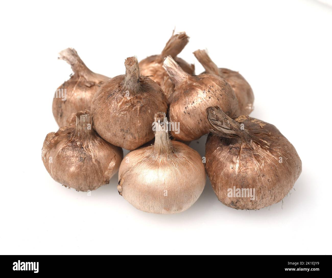 My Image 25