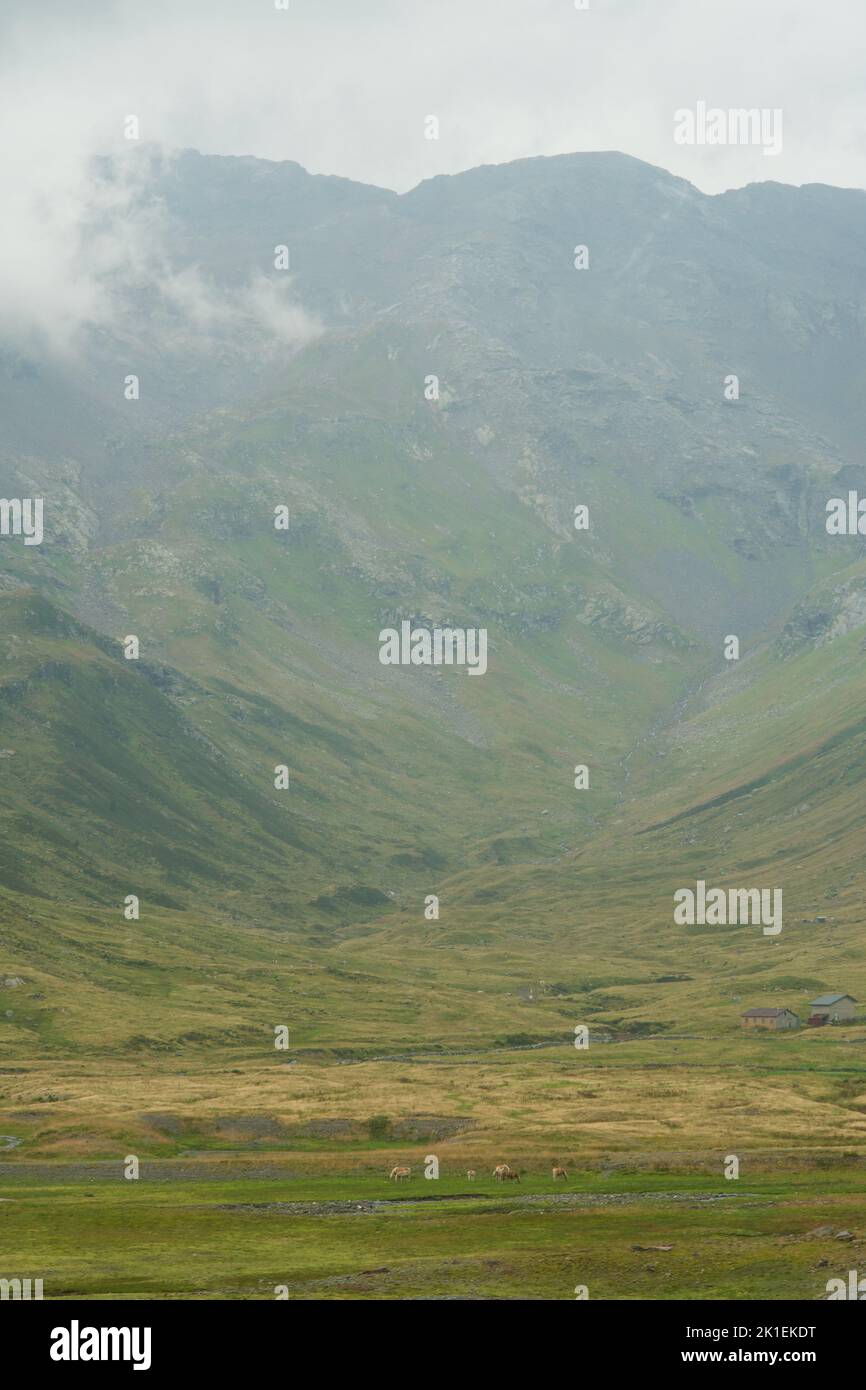 A vertical shot of the Alpine mountain pass of Splugen in Switzerland ...