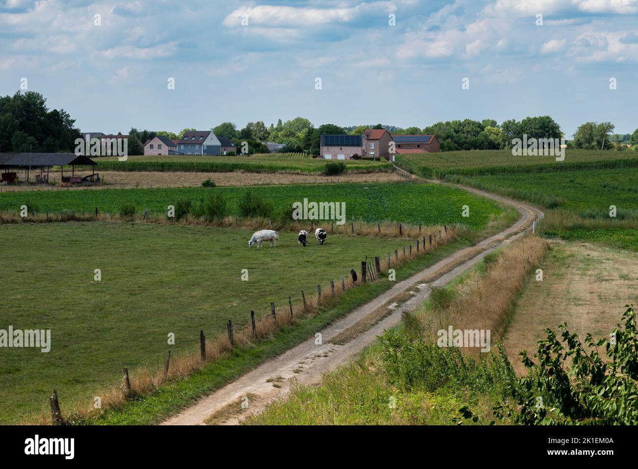 Road through the agriculture fields and farms around Namur, Belgium Stock Photo