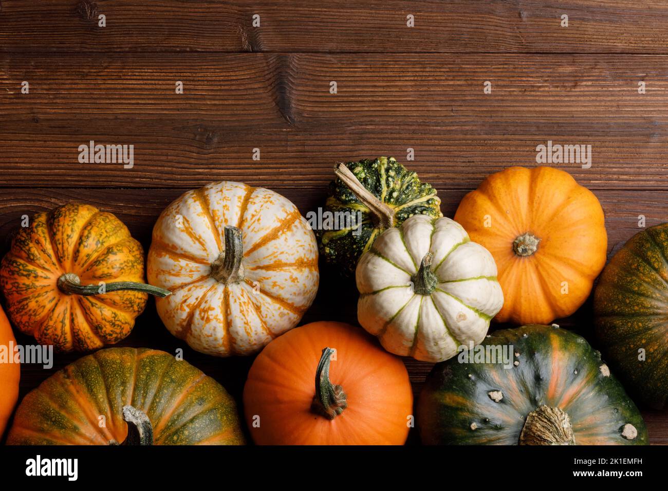 Different pumpkins on a wooden background, autumn theme, texture. Design ideas, top view. Halloween, Thanksgiving day Stock Photo