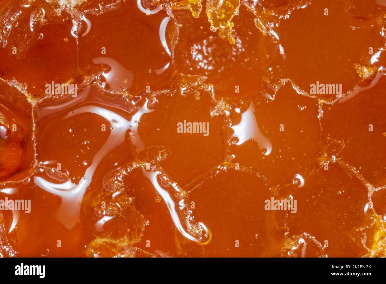 close up of liquid honey in combs Stock Photo