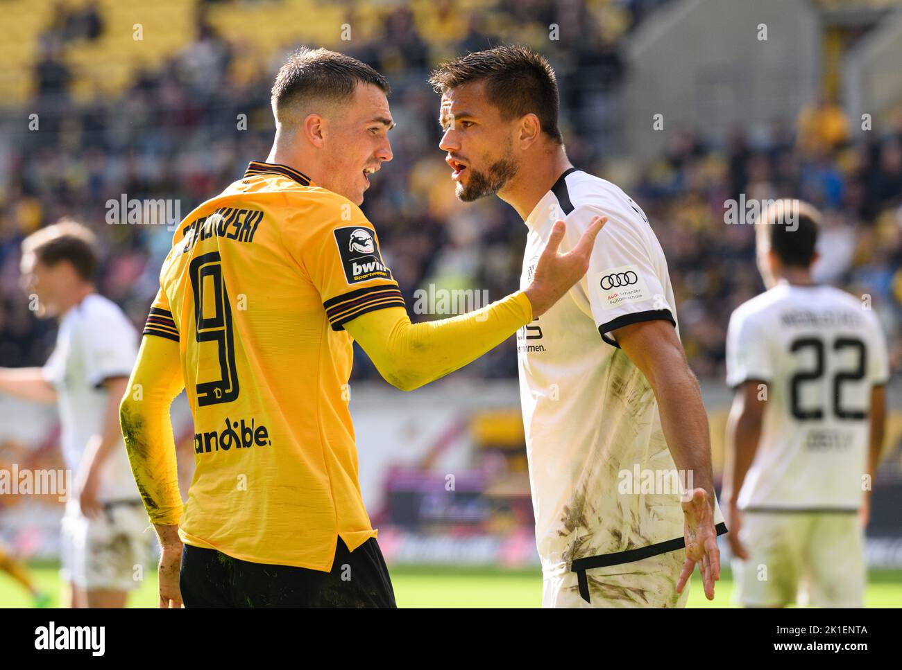 Dennis Borkowski of SG Dynamo Dresden celebrates after scoring during  News Photo - Getty Images