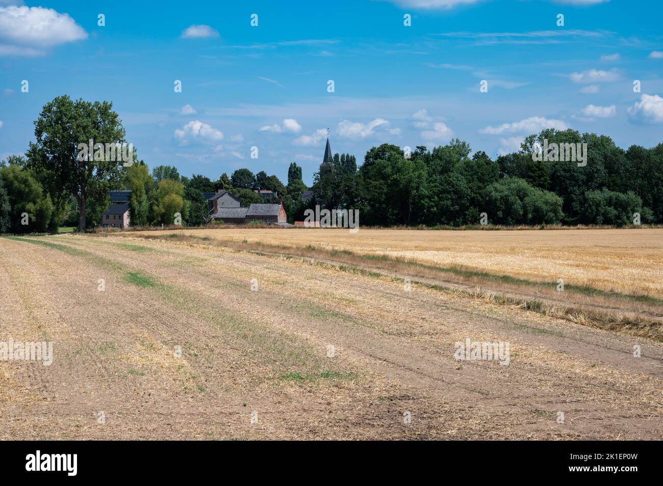 Ramilies, Wallon Region, Belgium, 08 02 2022 - Harvested golden agriculture field and farmhouse Stock Photo